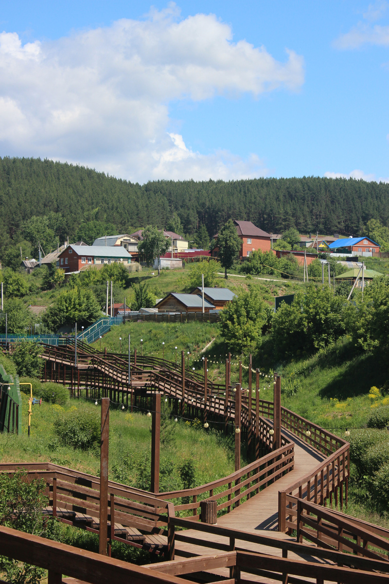 Пасторальные виды