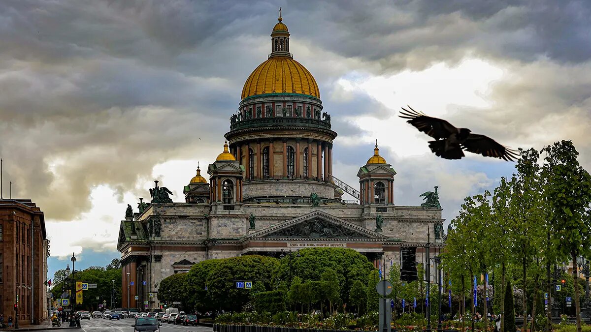    Источник: vm.ru/ Ирина