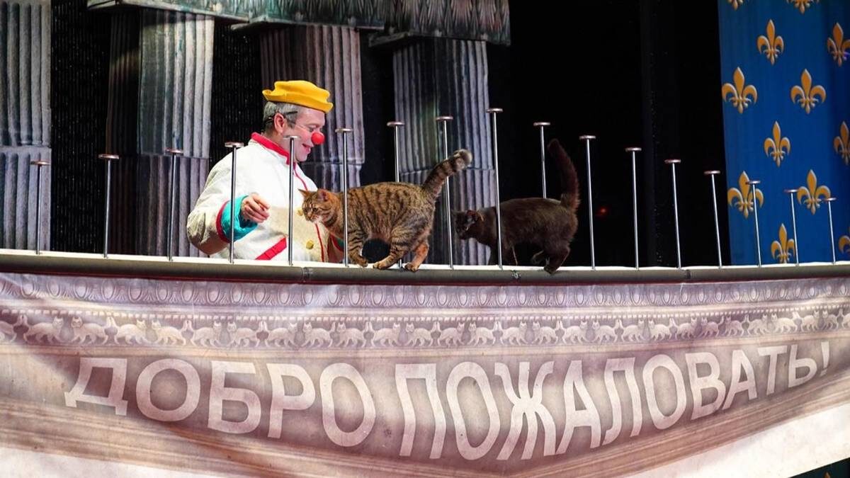    Фото: mos.ru / Евгений Самарин