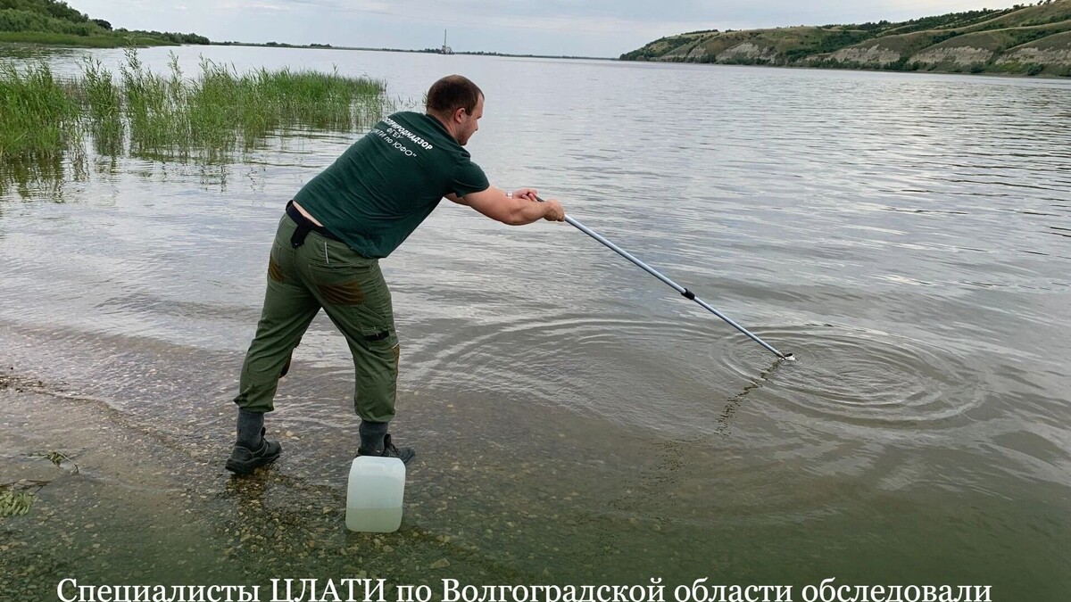    Минприроды нашло неизвестные загрязнения в озере у аквапарка под Ростовом   clati.ru / иллюстрация
