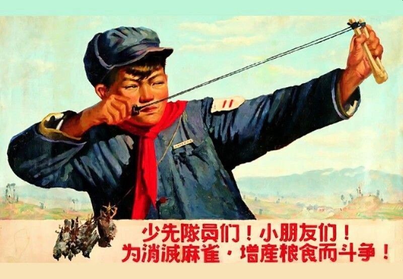 Плакат, призывающий истреблять воробьев.