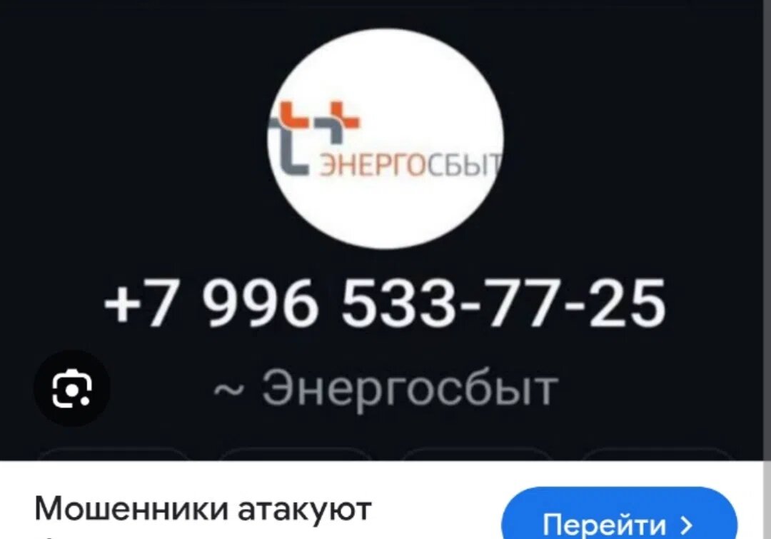 Фото Екатерины Деулиной / ВК