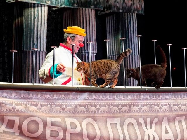    Фото: портал мэра и правительства Москвы/Евгений Самарин