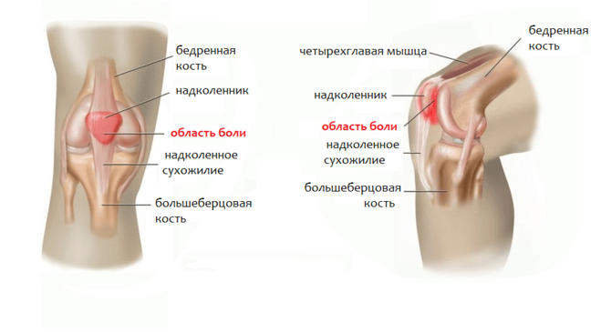 фото из открытого источника