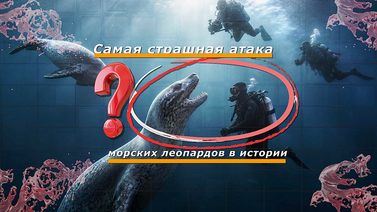 https://rutube.ru/channel/14429252/
