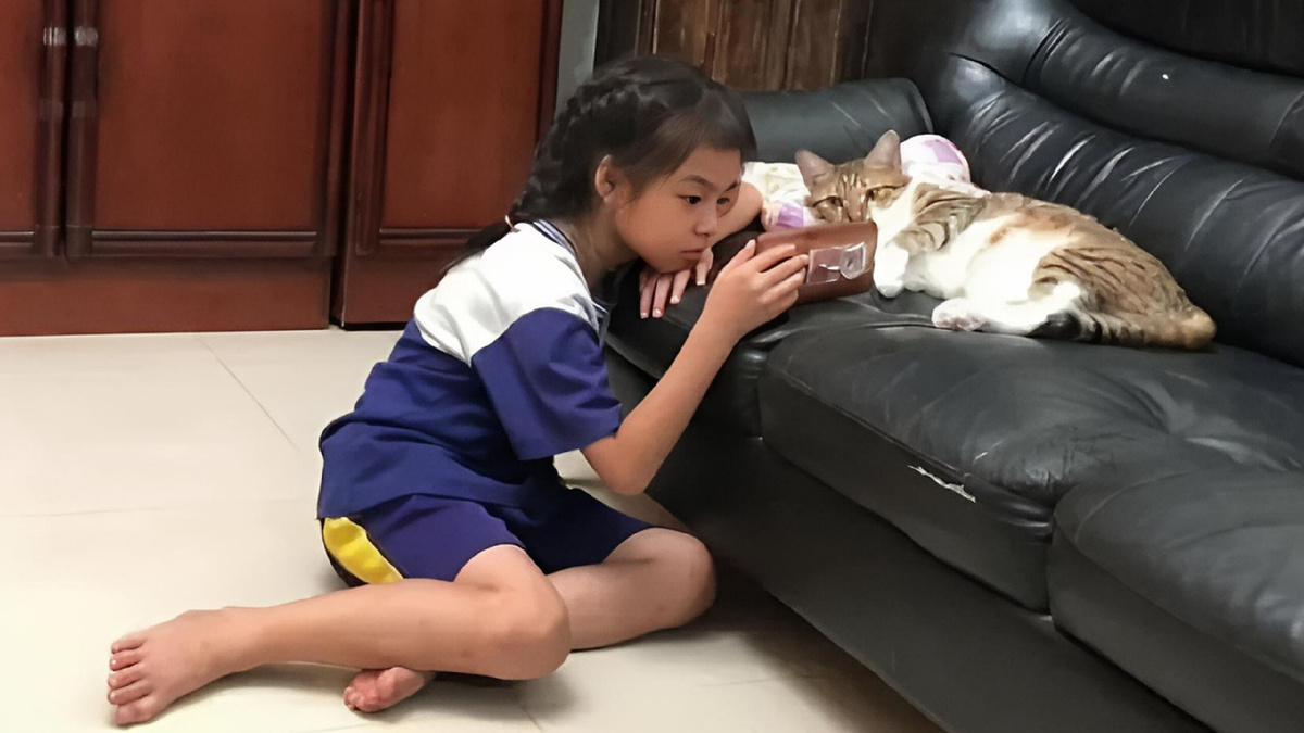 - Смотри, про тебя написали! - Ага! А почему так мало😺? 
