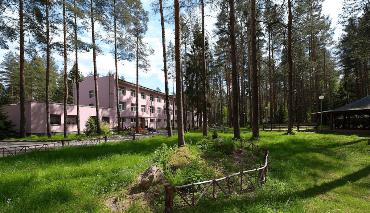 Пансионат "родной очаг" находится в лесной зоне