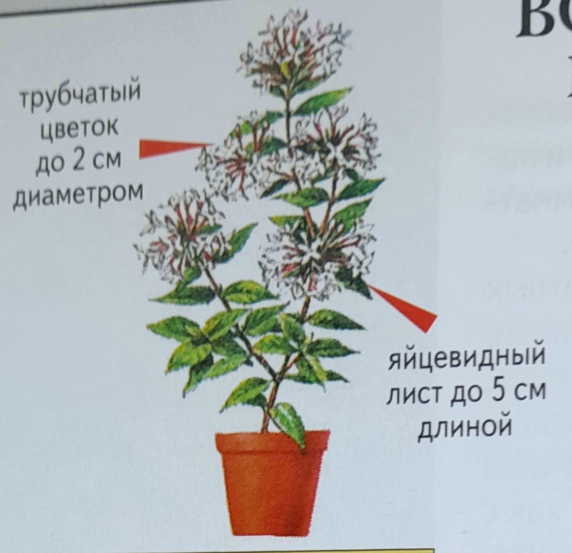 Фото автора канала