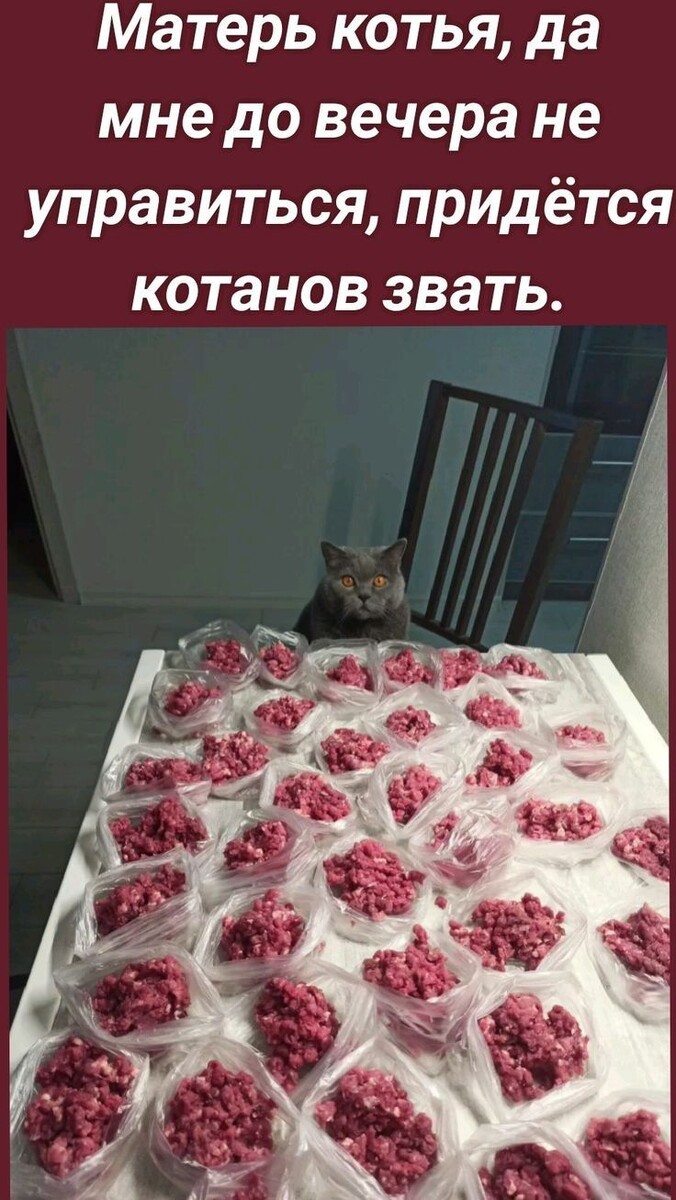 Из открытых источников