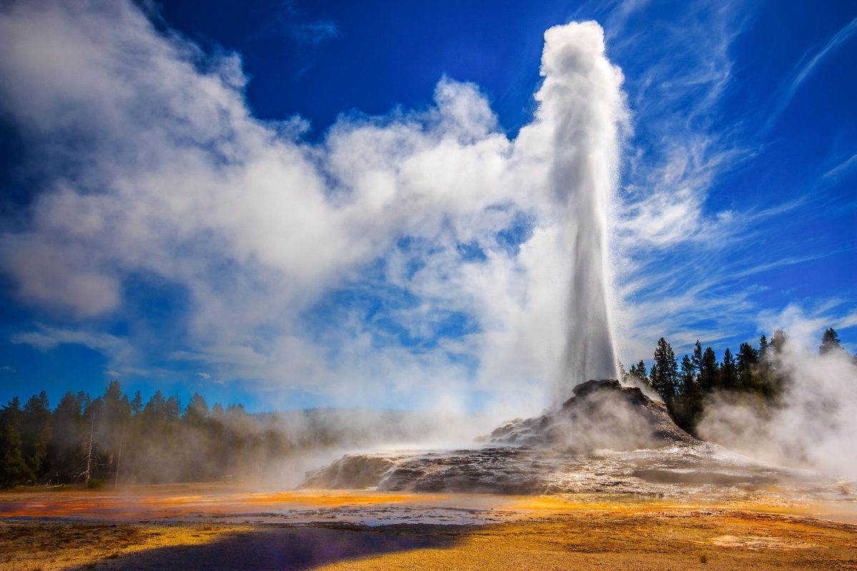    Фото: istockphoto/Riishede