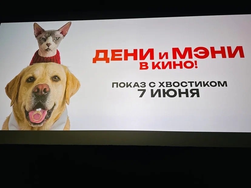 Обложка фильма "Дени и Мэни в кино!" / пресс-служба фильма Дени и Мэни