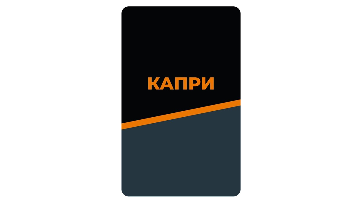 Заявка на ТЗ РФ № 2023720216