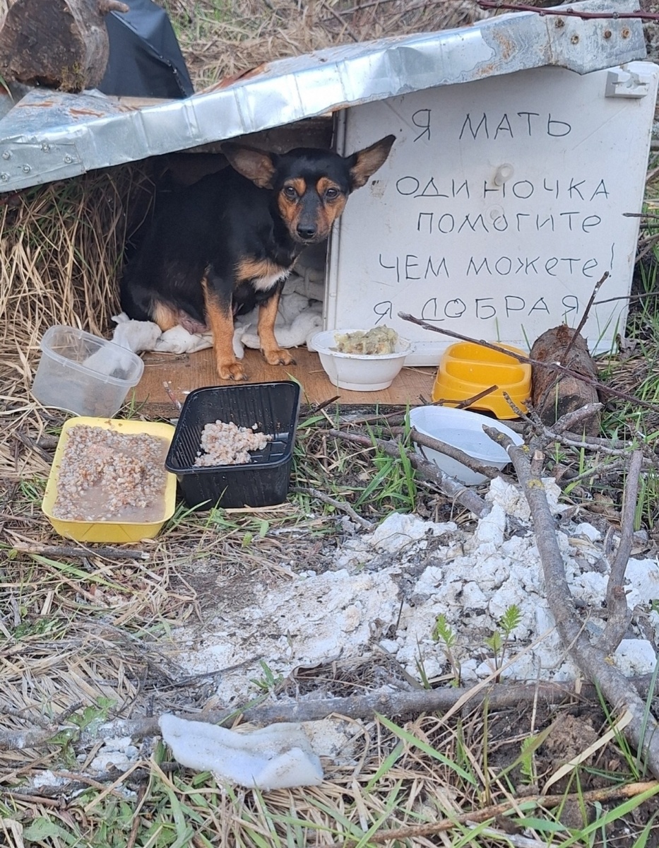 Ася на том самом месте.