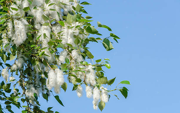 istockphoto.com