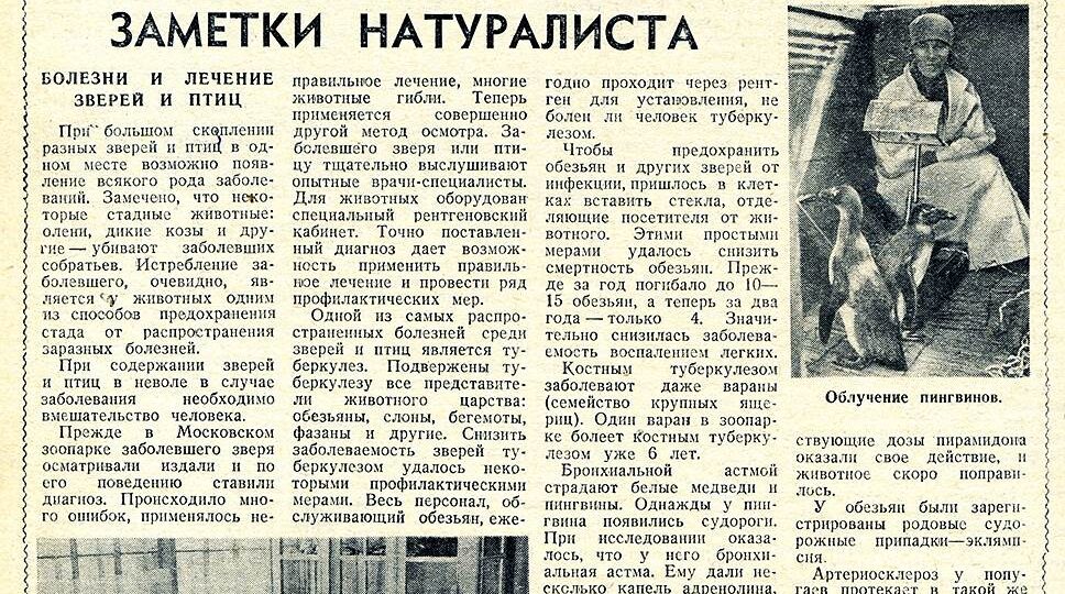 Как в СССР в 40-е годы лечили зверей в Московском зоопарке