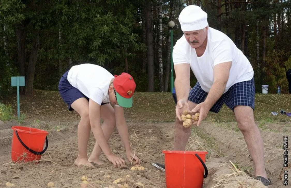 Картошка отправляется в Китай! 