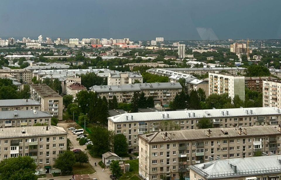    Вид на Барнаул с колеса обозрения. Источник: "Толк"