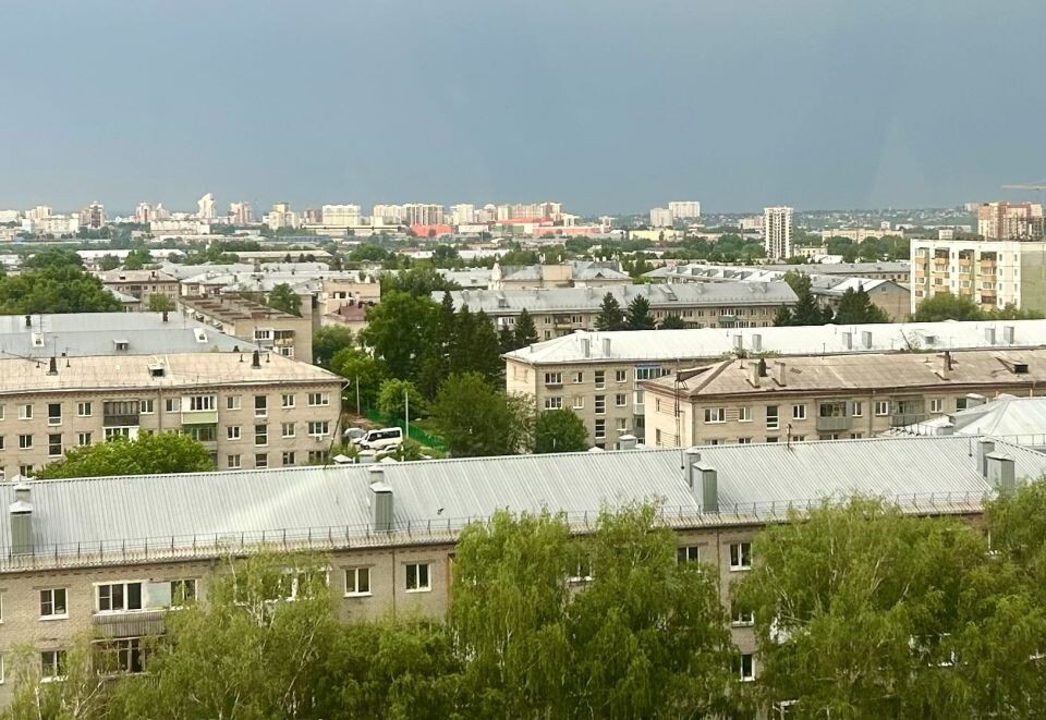    Вид на Барнаул с колеса обозрения. Источник: "Толк"
