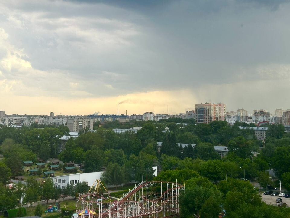    Вид на Барнаул с колеса обозрения. Источник: "Толк"
