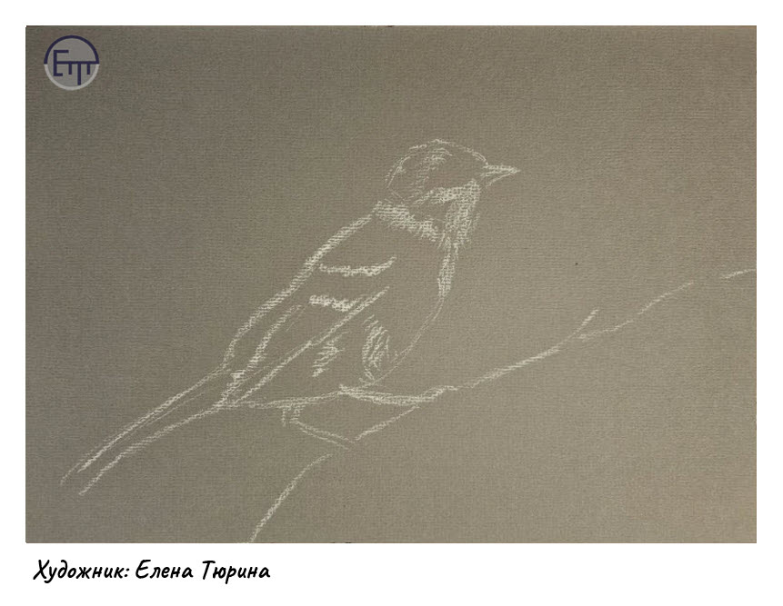 Художник Елена Тюрина. Композиция. Полевой воробей. Бумага. Пастельные карандаши. Размер: 21 х 29.7 см., 2026 г. 
