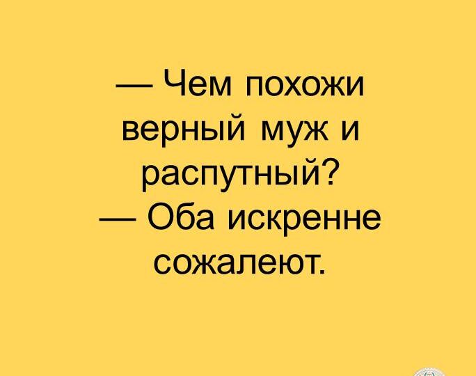 Анекдоты от 10.06.26 и рассказ "Личное пространство пуховика"