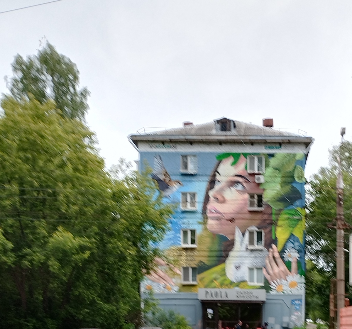 Сейчас очень много в городе появилось муралов. Они разбавляют серость типовой  застройки . Один из них находится прямо напротив парка. 