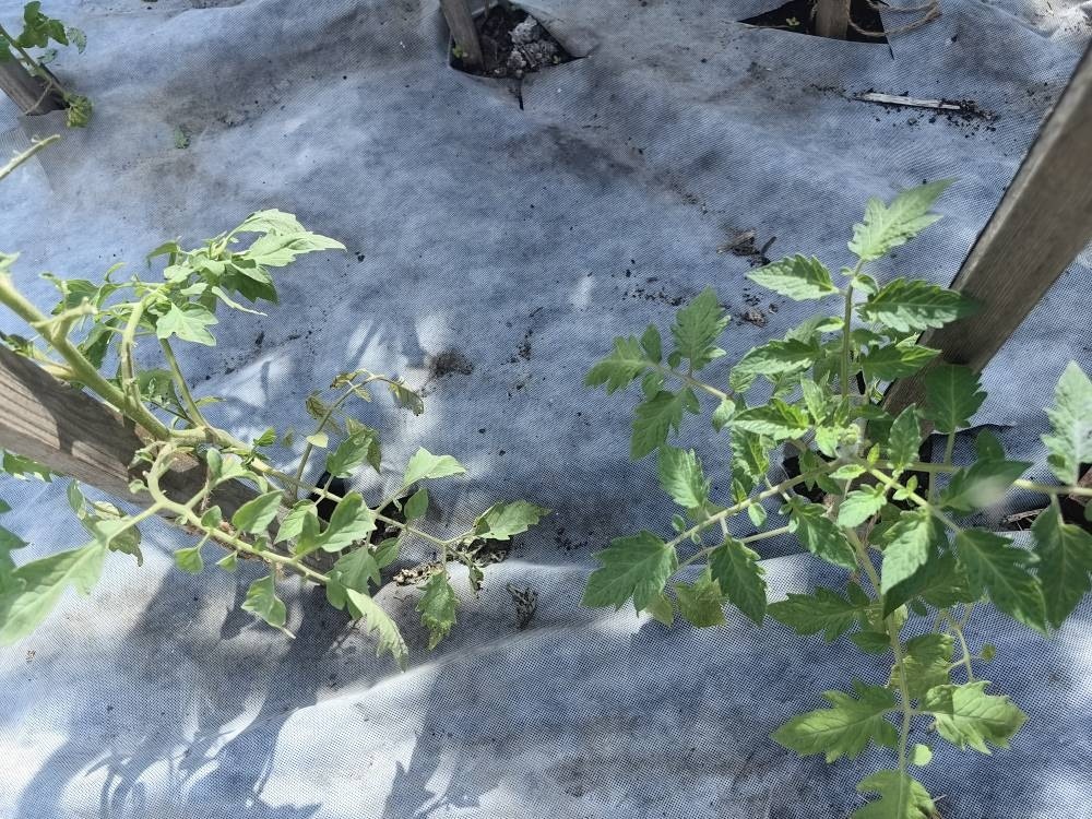 -1-3