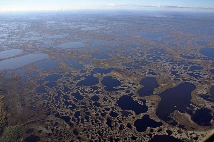 Изображение взято с сайта https://wikiway.com/upload/hl-photo/ff6/58d/vasyaganskie_bolota_7.jpg