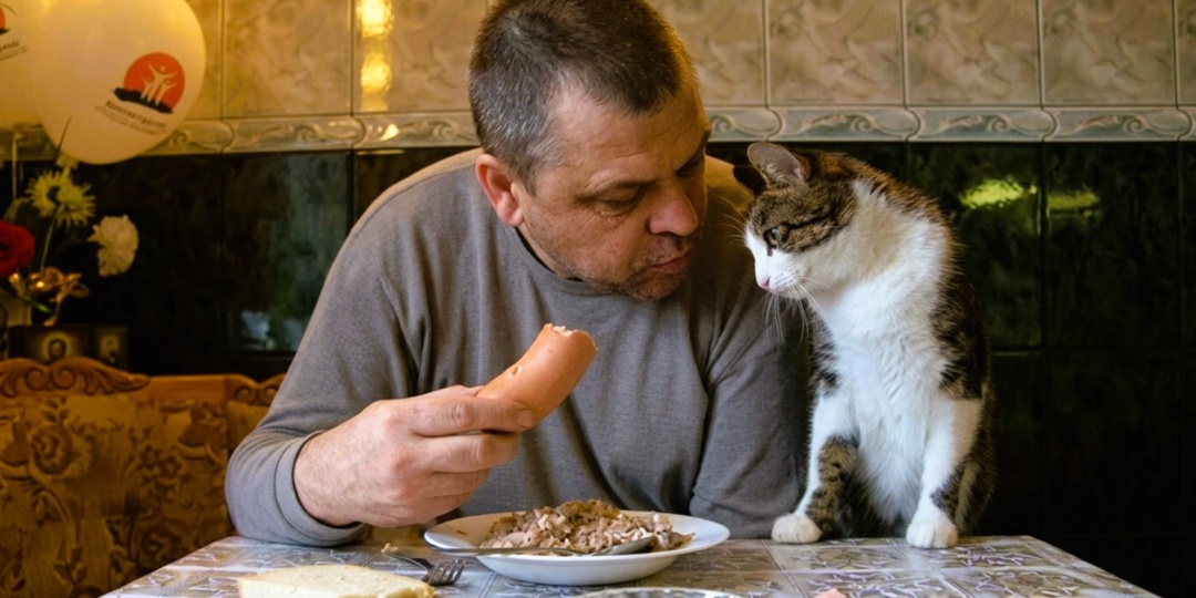 Папа забрал мой плед и укрыл им кота: о любви к питомцам, не знающей границ