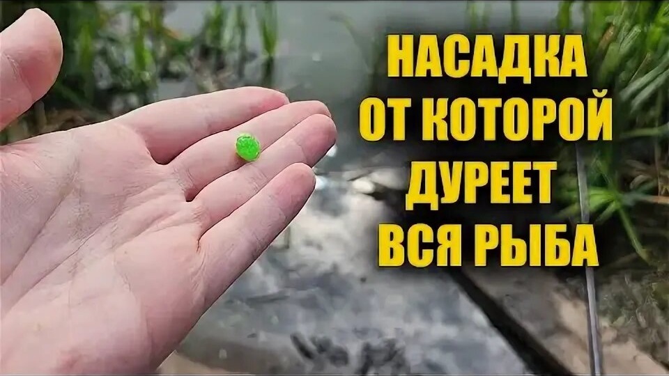 Как часто менять насадку, чтобы рыба не теряла интерес
