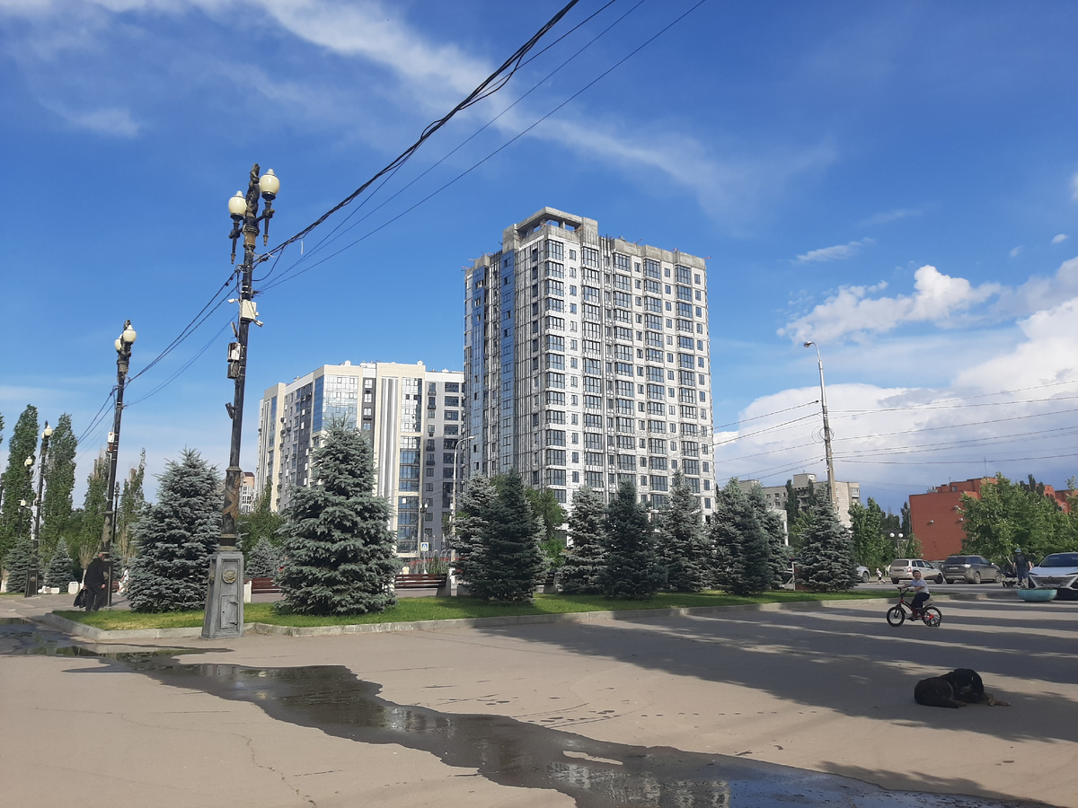 Волгоградские наши просторы.
