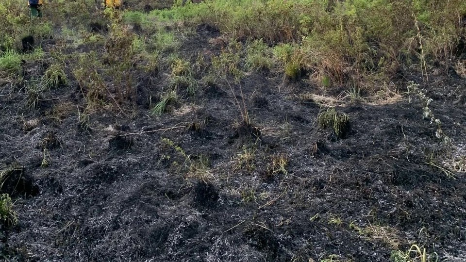 Площадь лесных пожаров в Красноярском крае увеличилась до 4,7 тысячи га