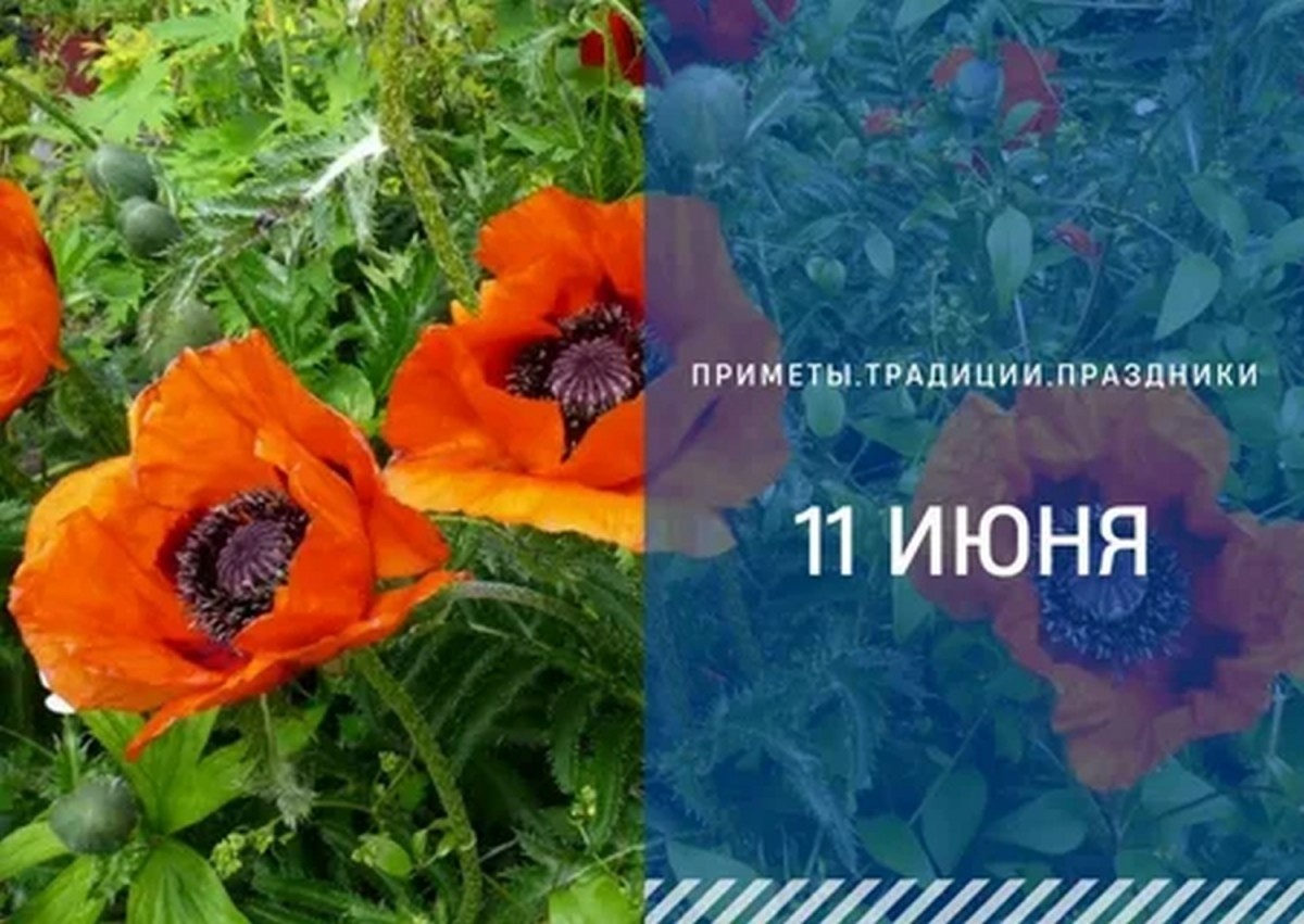 ГТРК "Ставрополье"