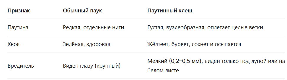 отличия паука и клеща