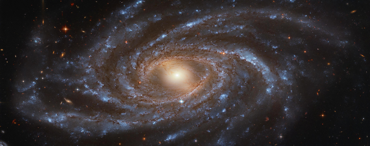 Галактика NGC 2336, снятая космическим телескопом «Хаббл»  Фото: vecteezy.com