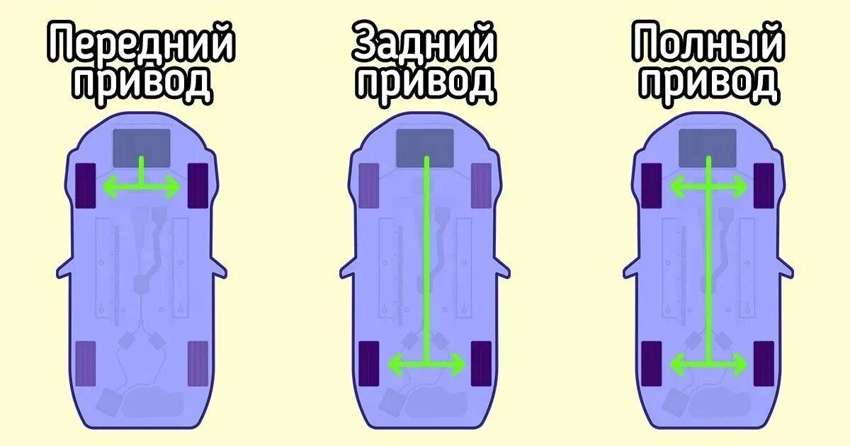 Фото из открытых источников 