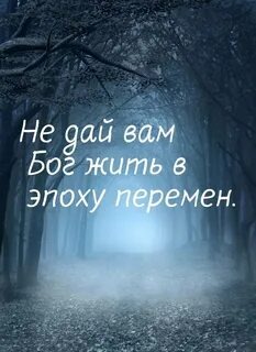 Яндекс 