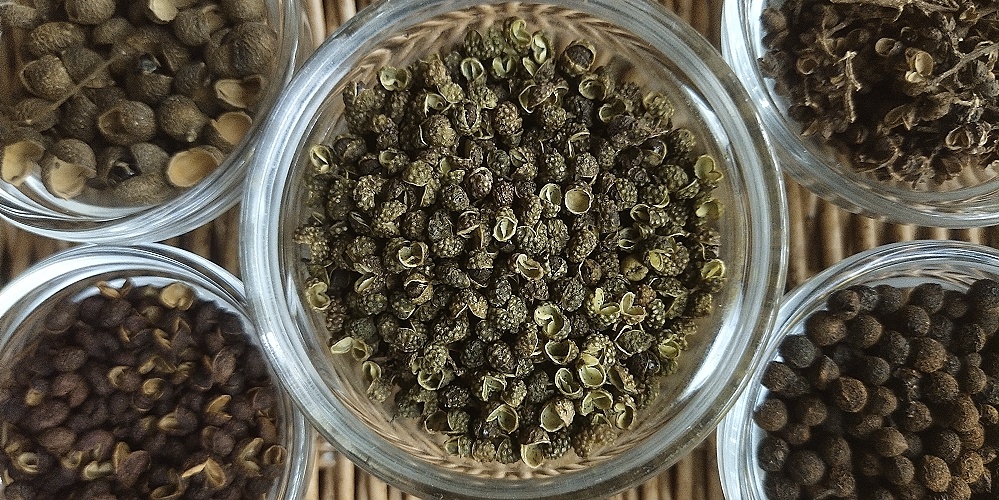 Zanthoxylum schnifolium, Zanthoxylum  alatum