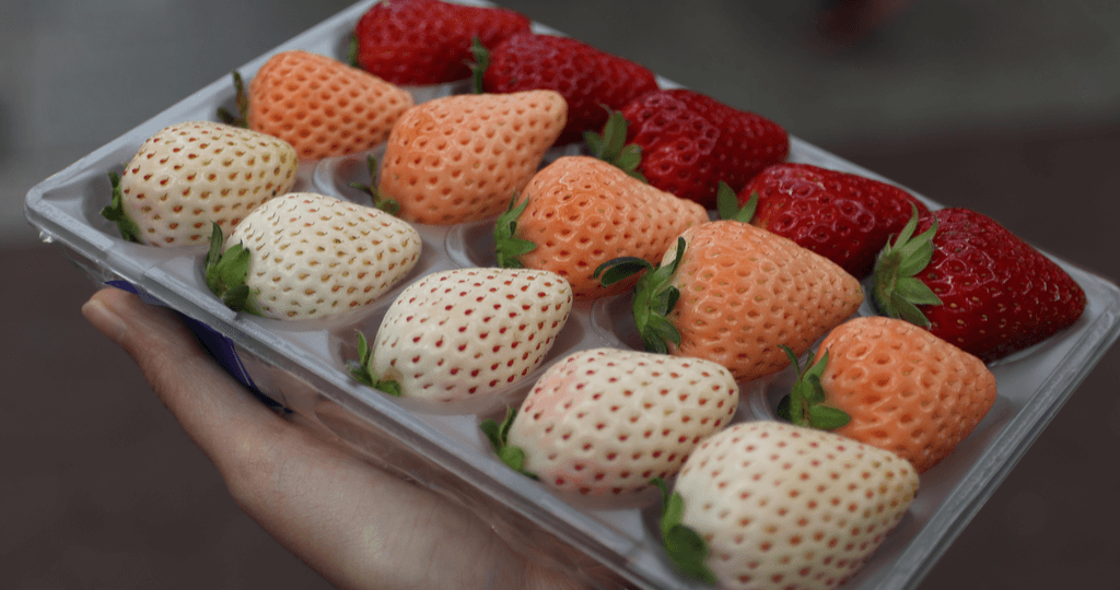 🍓 Белая клубника: гипоаллергенная или нет? Что говорят исследования.