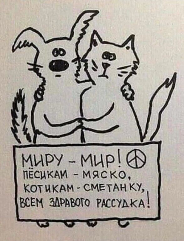 источник Яндекс-картинки