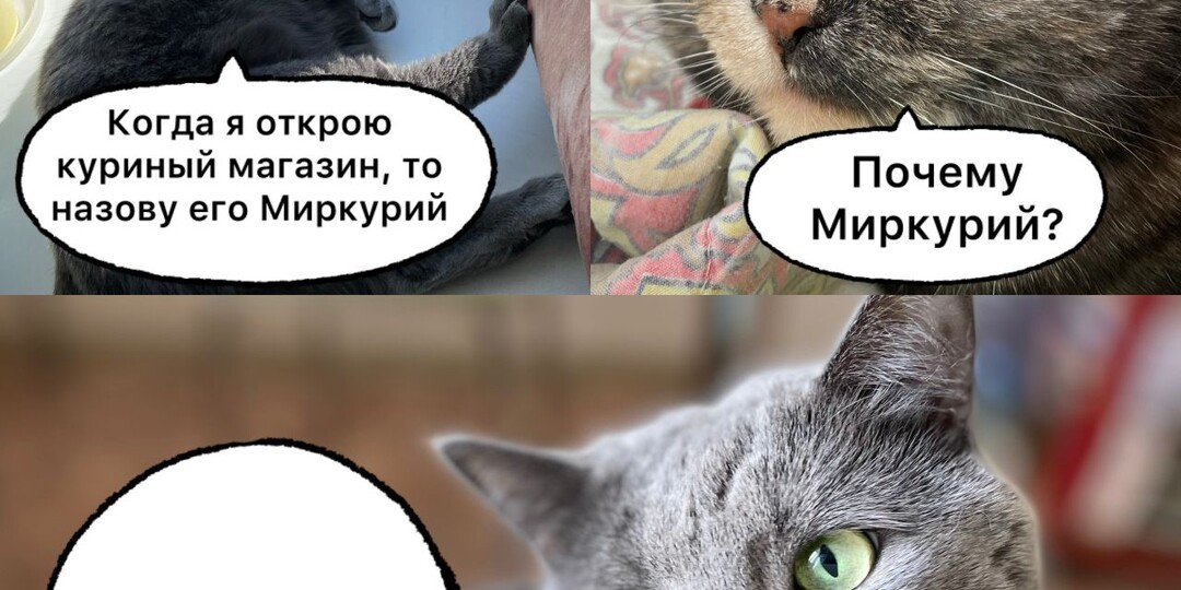 9 смешных мемов, которые вырвут вас из пучины грусти и тоски