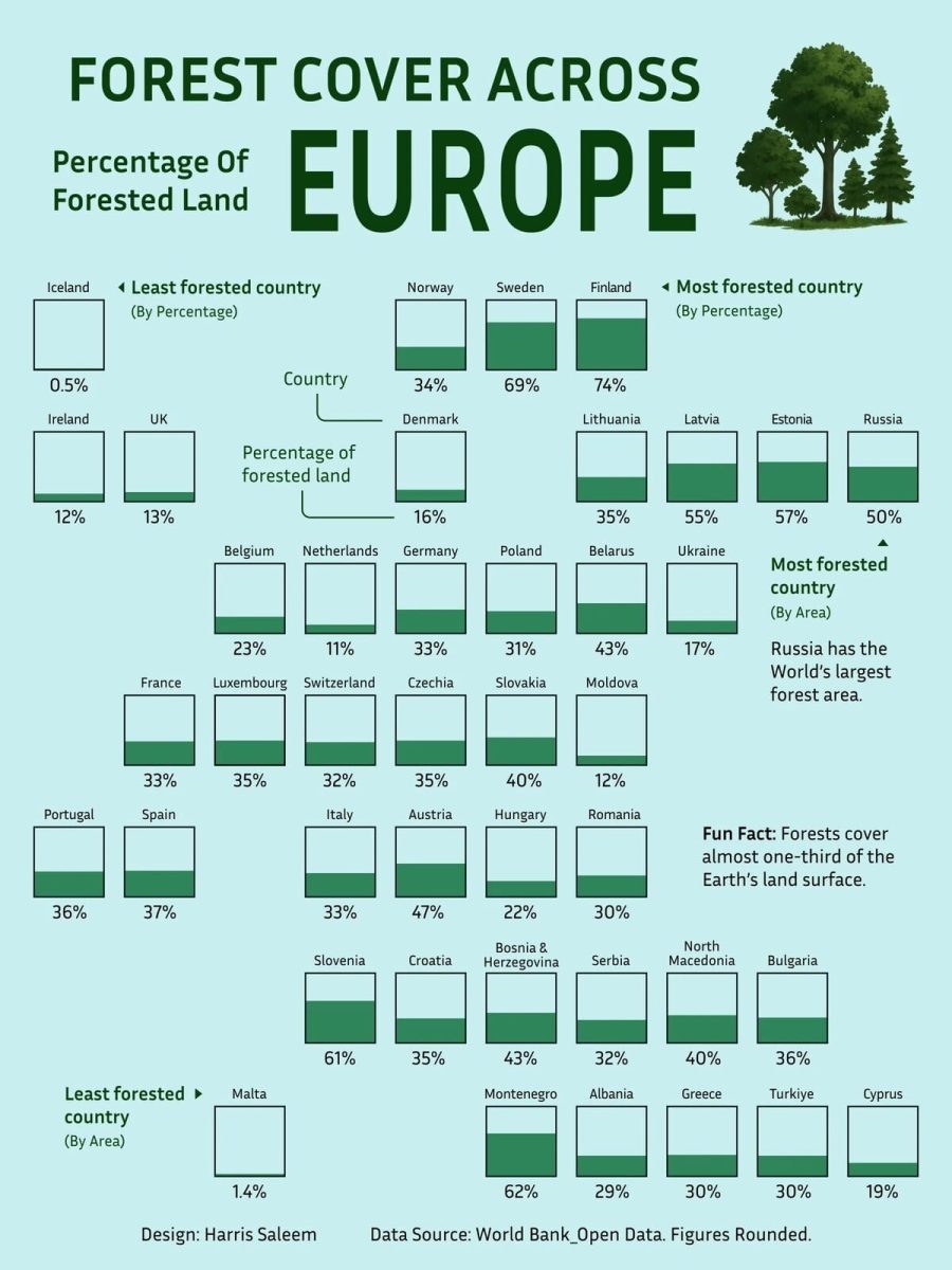    Рейтинг: самые лесистые страны Европы / © Visual Capitalist