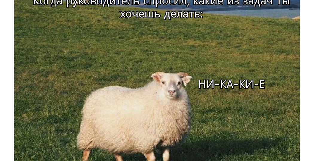 Что делать, если на тебе постоянно много задач