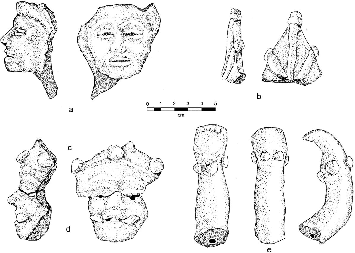    Источник: naked-science.ru Елена Сазонова