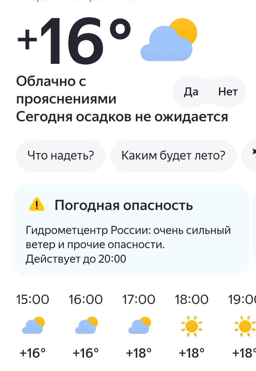 А погода у нас испортилась, серо и дождливо. Фото автора