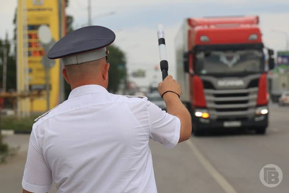    Фото: Дмитрий Рогулин/"Городские вести"