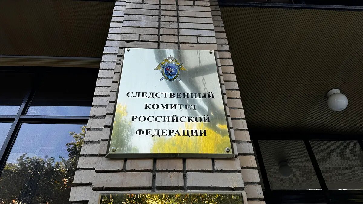    Источник: vm.ru/ Полина Степанова