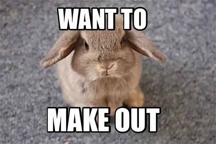 #phrasal_verb #фразовый_глагол #make_out