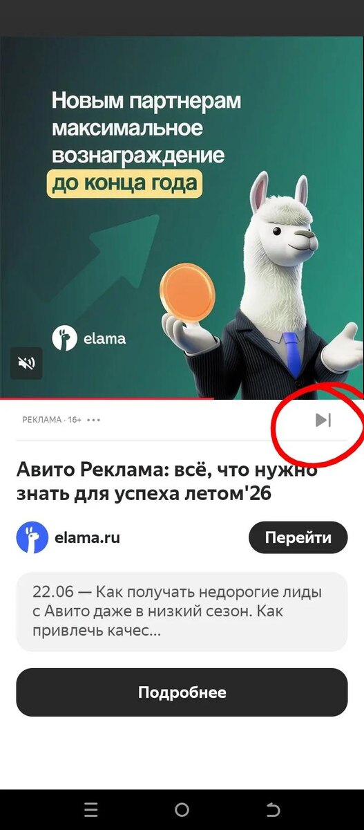 Скриншот автора.