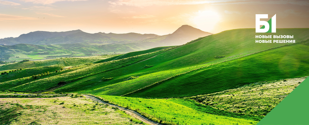 Источник: shutterstock